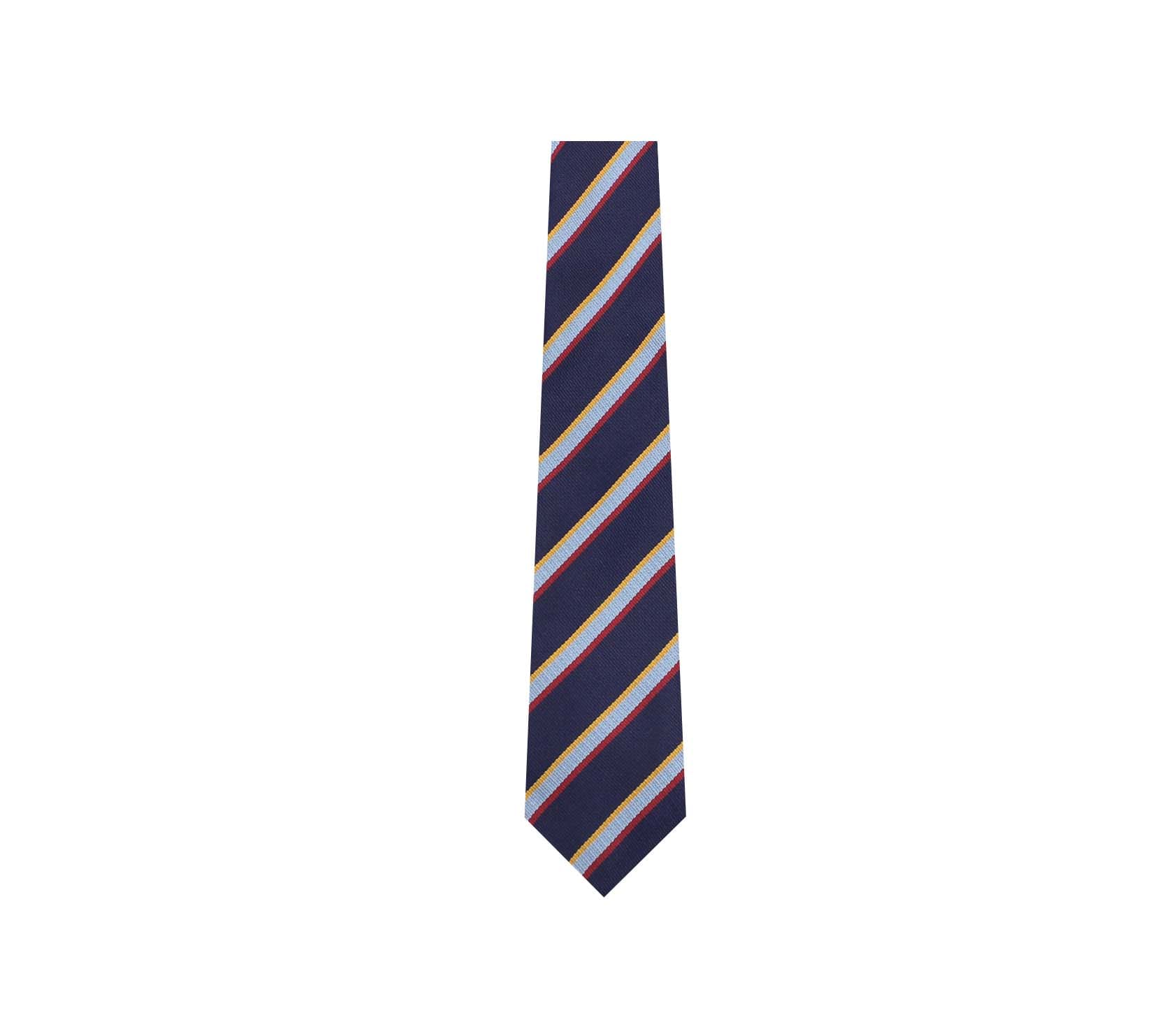 Our Lady of Lourdes Tie