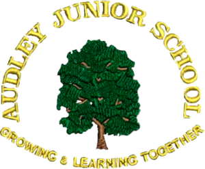 AUDLEY-JUNIOR
