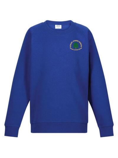 Audley Juniors Sweatshirt