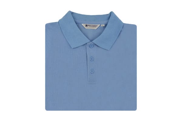 Plain White or Sky Polo - Image 2