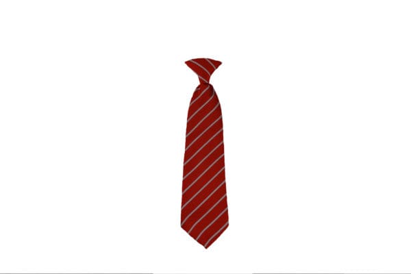 Calverley C of E Ties - Image 2