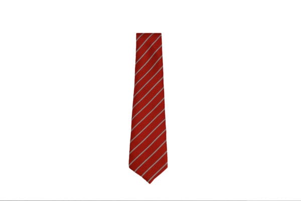 Calverley C of E Ties