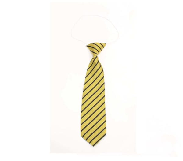 Churchtown Tie - Image 2