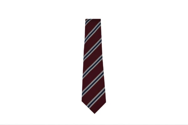 Benton Park Tie