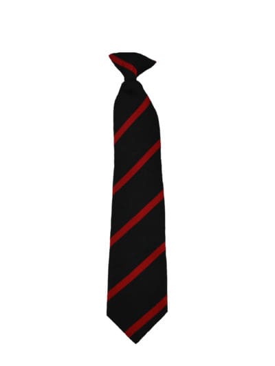 Pudsey Grangefield Tie