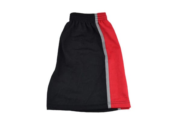 Lawnswood PE Shorts