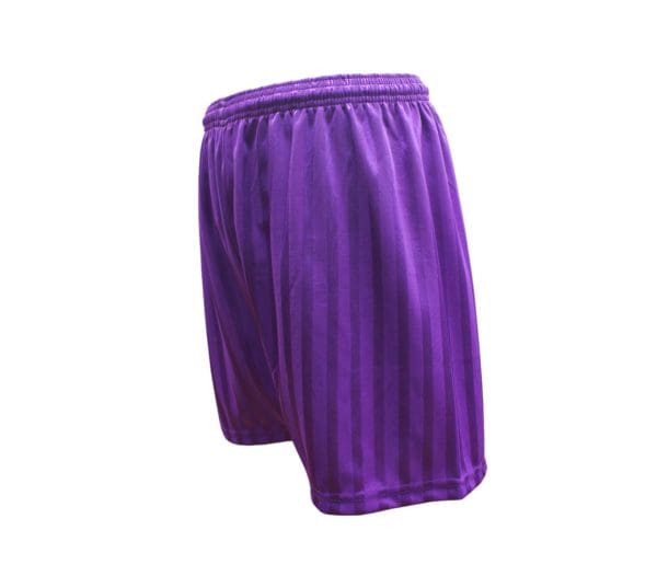 All Saints Purple PE Shorts