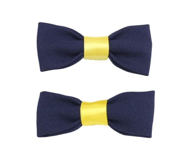 Churchtown Hair Clips