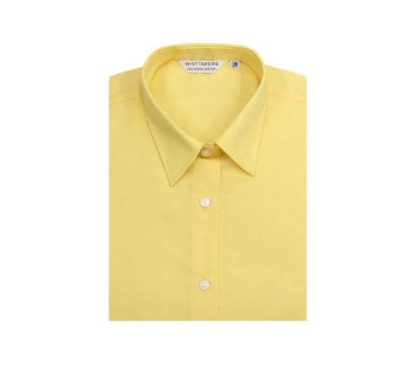 Twin Pack Long Sleeve Yellow Blouses - Image 2