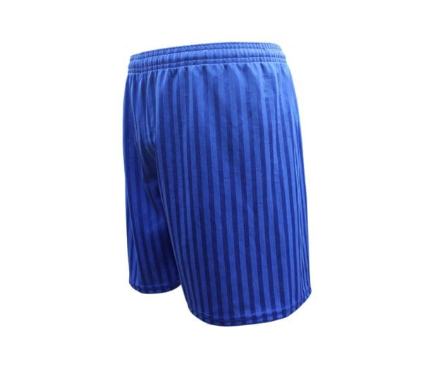 Royal Shadow Shorts