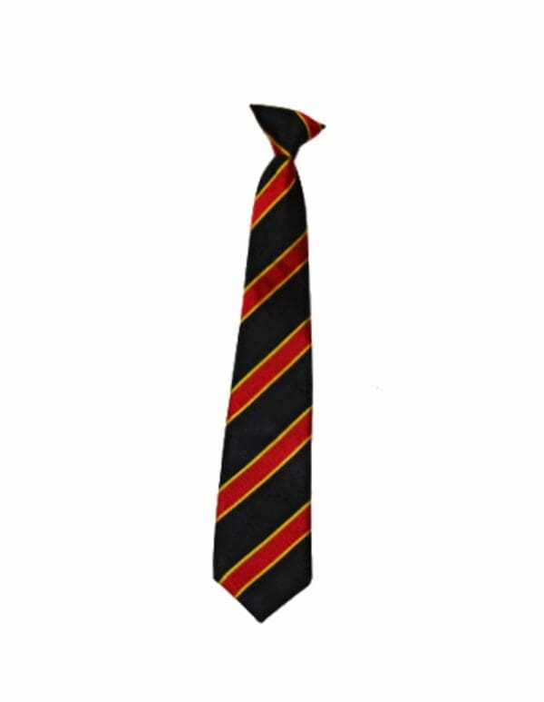 Shuttleworth College Tie