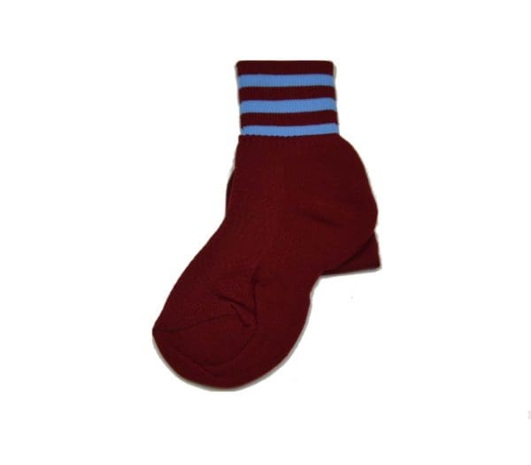 Unity College PE Socks