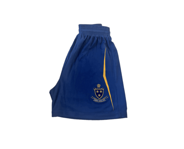 St Wilfrid's Boys PE Shorts