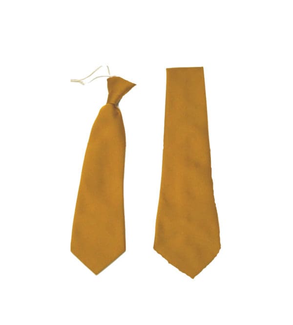 Christ Church Colne CE School Tie