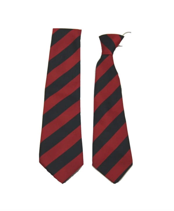Ashurst Primary Tie
