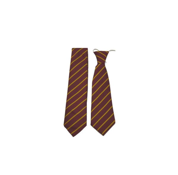 Haydock English Martyrs School Tie