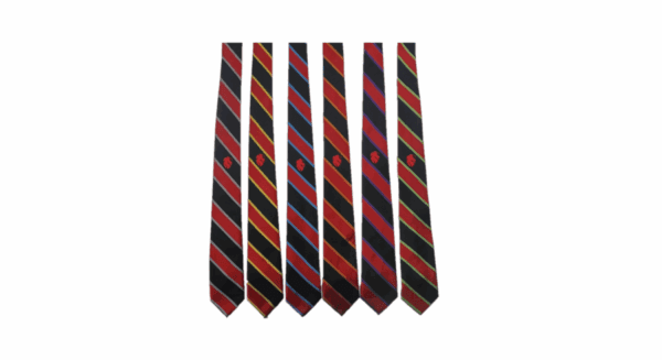 Ladybridge Tie