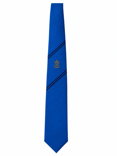 St Wilfrid's School Ties