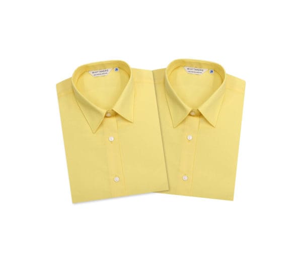 Twin Pack Long Sleeve Yellow Blouses