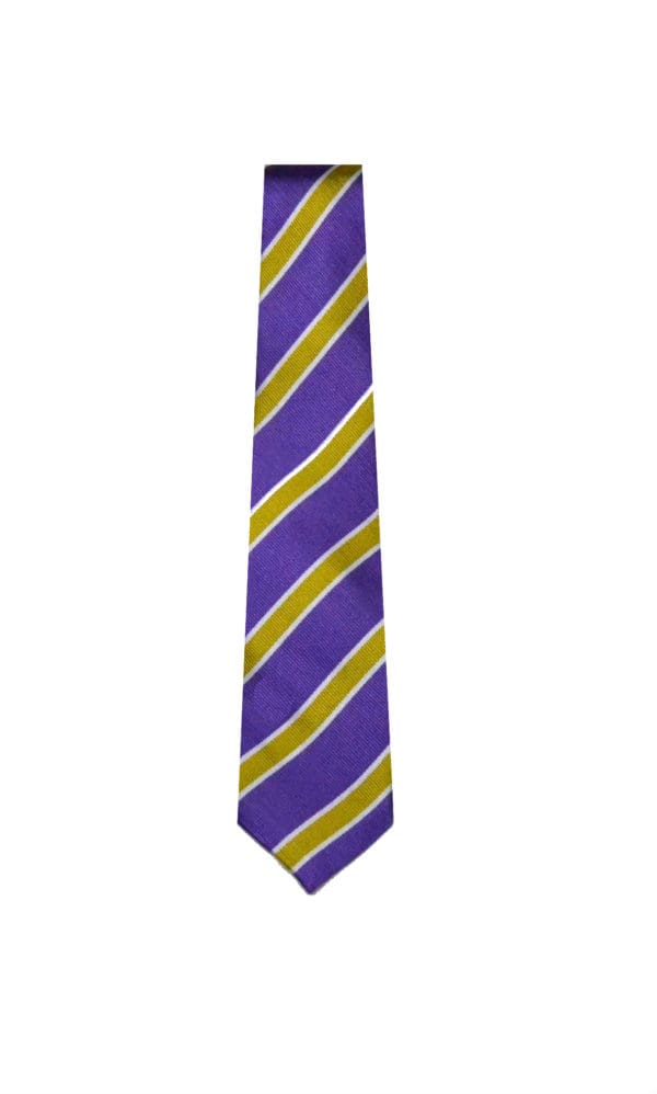 Eastwood Primary Year 5 & 6 Tie