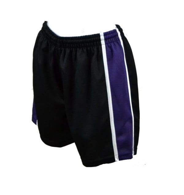 Parkside PE Shorts