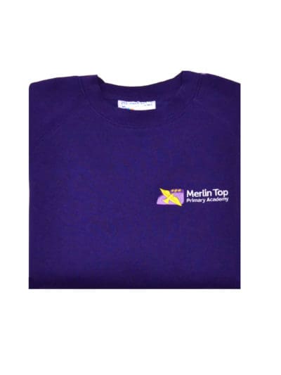 Merlin Top Academy Year 6 Sweatshirt