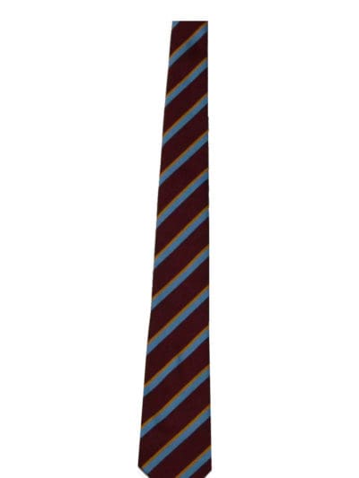 Tower College Boys Ties