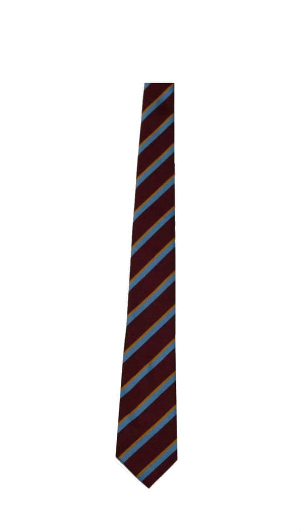 Tower College Boys Year 7-11 Tie 52"
