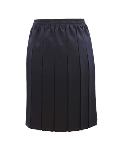 Navy Box Pleat Skirt