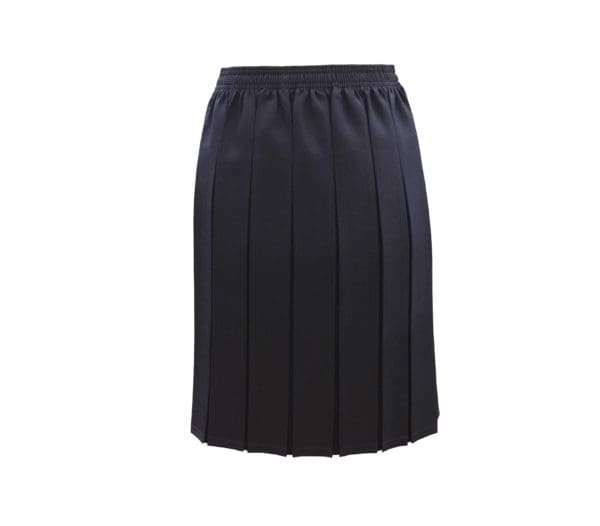 Navy Box Pleat Skirt