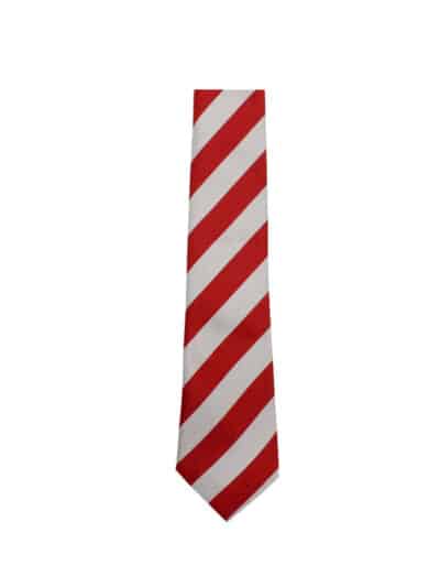 St Anthony's Primary Tie