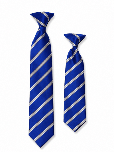 Ashleigh Primary School Ties