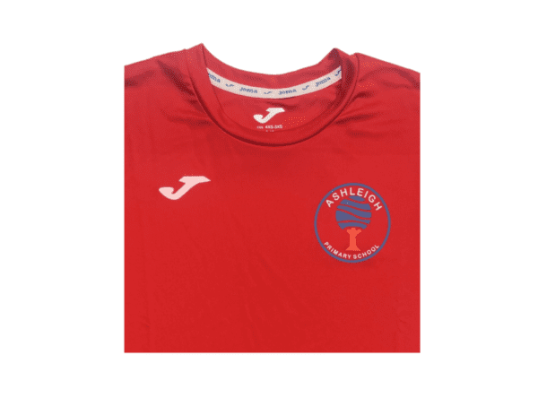Ashleigh Primary PE T-Shirts - Image 3
