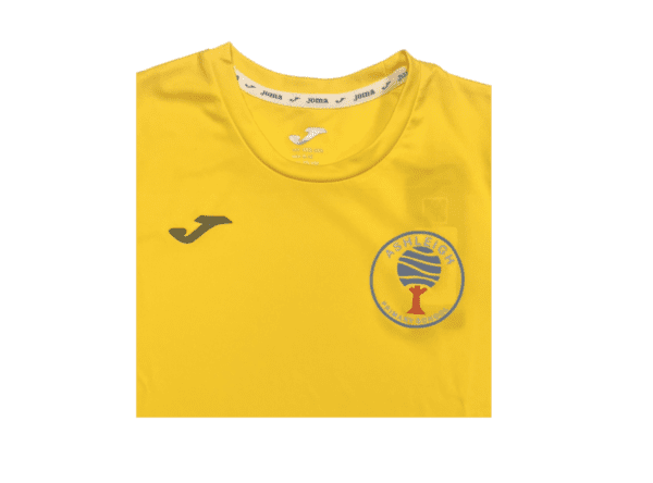 Ashleigh Primary PE T-Shirts - Image 4