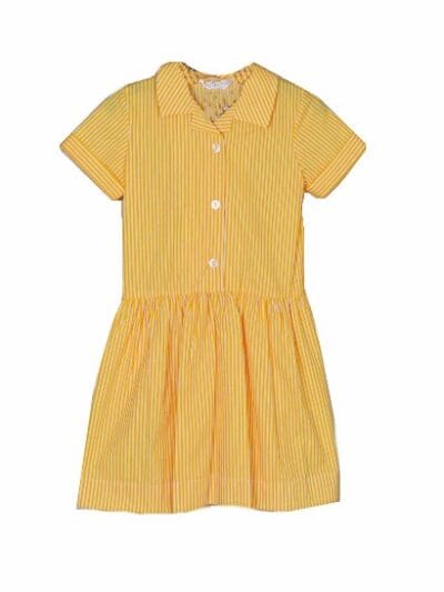 The Gleddings Preparatory Summer Dress