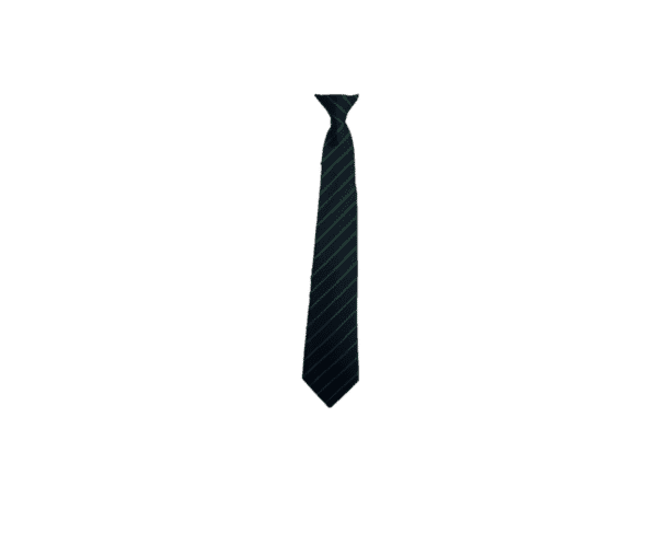 Accrington Academy Year 7-10 Ties - Image 4