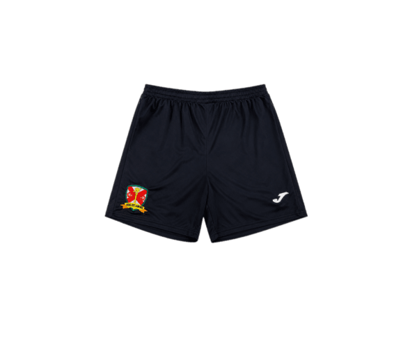 St Patrick's RC Training Shorts