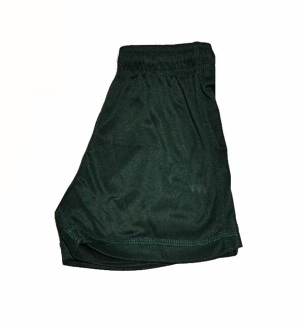 St Austin's Bottle Y50 PE Shorts
