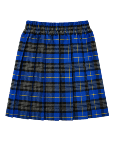 Royal/Gold Tartan Skirt