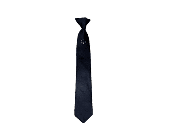 Accrington Academy Year 11 Tie