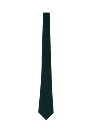St Joseph's Pudsey Tie