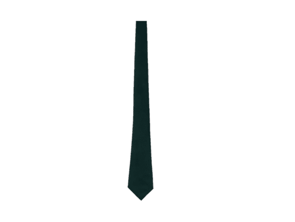 St Joseph's Pudsey Tie