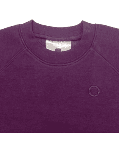 STAR DARK PURPLE SWEATSHIRT