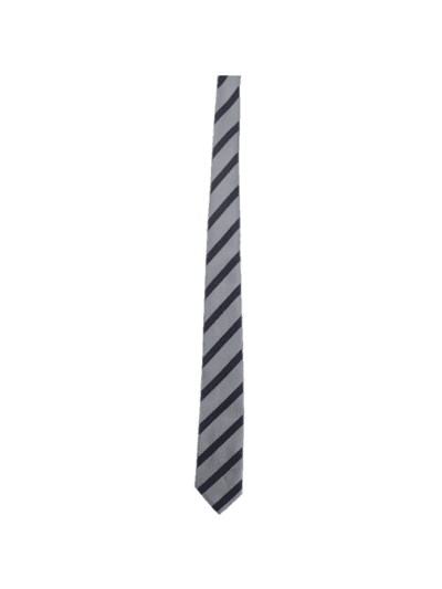 STAR TIE SILVER/PURPLE