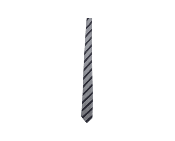 STAR TIE SILVER/PURPLE 52"