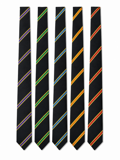 Lytham St Annes High School Ties