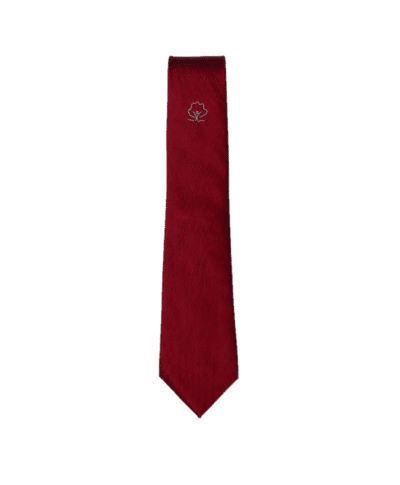 Irlam & Cadishead Academy Tie