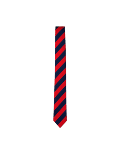 Our Lady of Assumption YR6 Tie