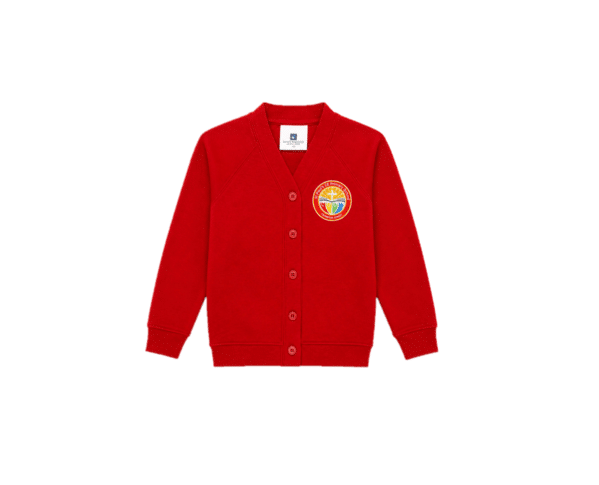 St Paul's CE Primary School Cardigan